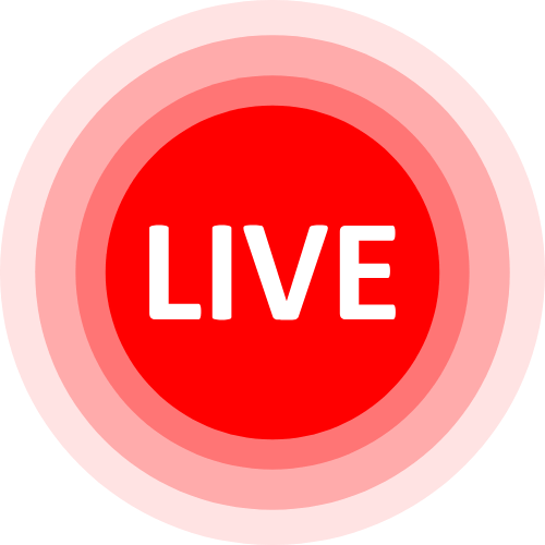Stripchat Replays